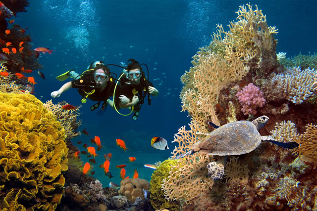 Diving & Snorkeling