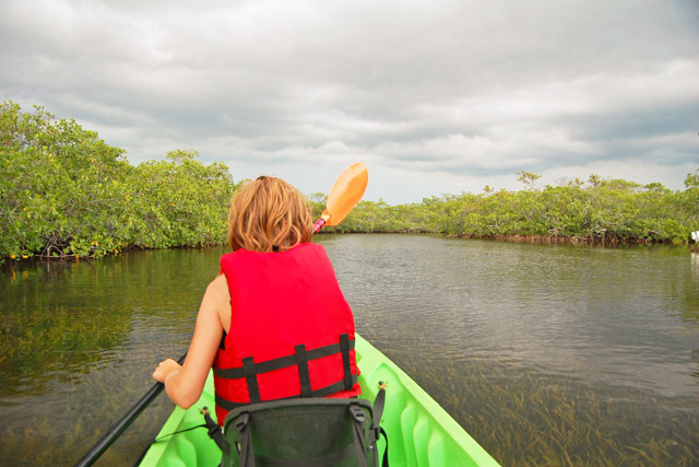 Eco-Tours